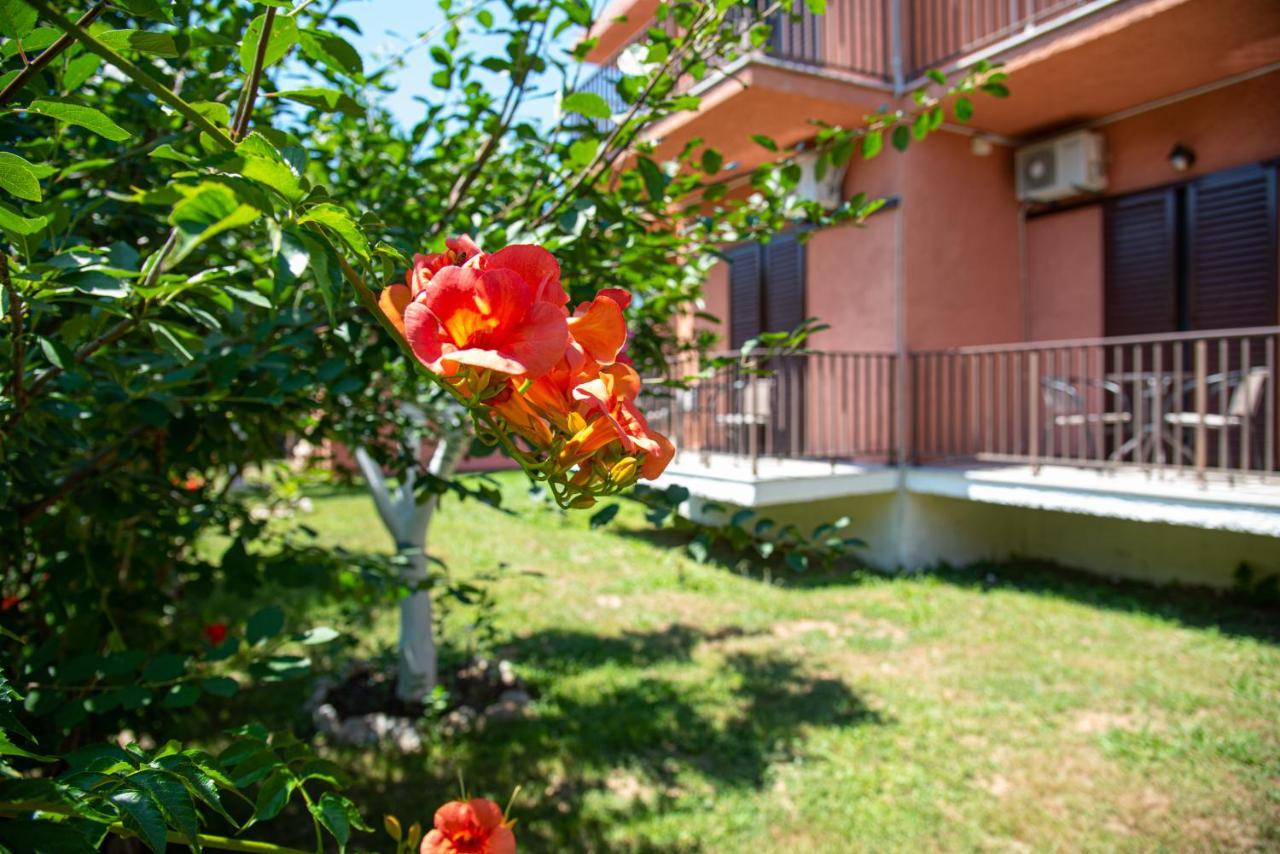 Apartment Costas *